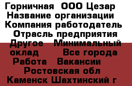 Горничная. ООО Цезар › Название организации ­ Компания-работодатель › Отрасль предприятия ­ Другое › Минимальный оклад ­ 1 - Все города Работа » Вакансии   . Ростовская обл.,Каменск-Шахтинский г.